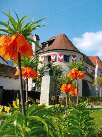 Das Linzer Tor in Schärding im Tageslicht mit strahlend blauem Himmel und blühenden orangen Blumen.